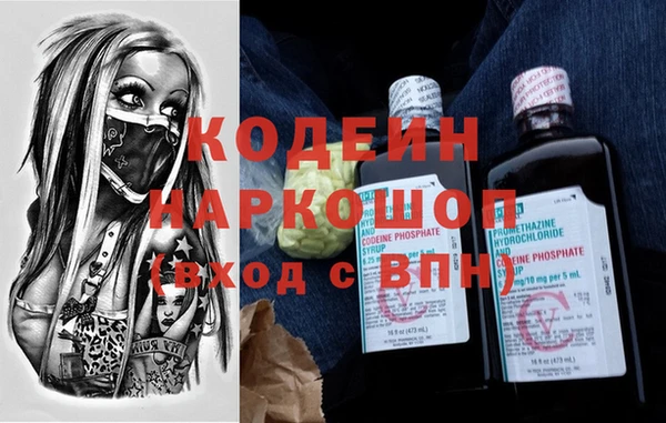 гашик Алексин
