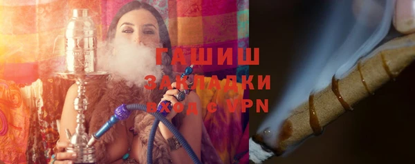 гашик Алексин