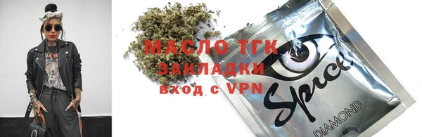 гашик Алексин