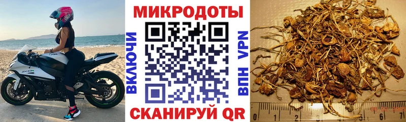 где продают наркотики  Лысьва  Псилоцибиновые грибы прущие грибы 