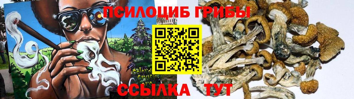 Галлюциногенные грибы Cubensis Лысьва