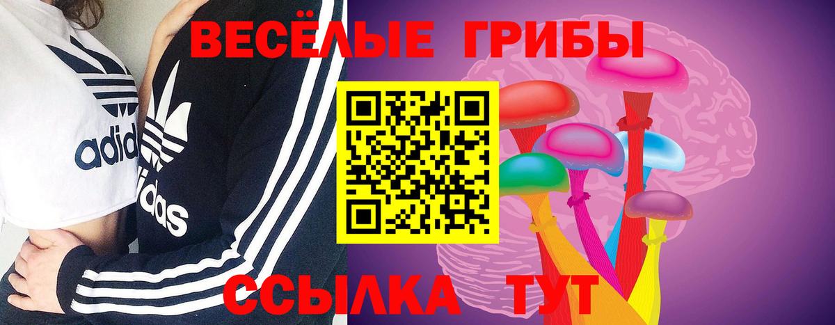 Галлюциногенные грибы Psilocybine cubensis  закладки  Лысьва  Вход с VPN 